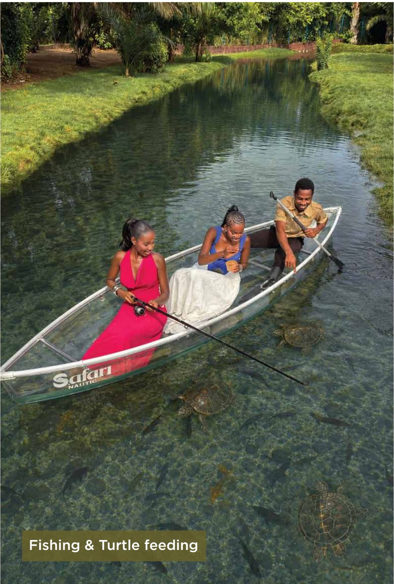 Fishing & Turtle Feeding