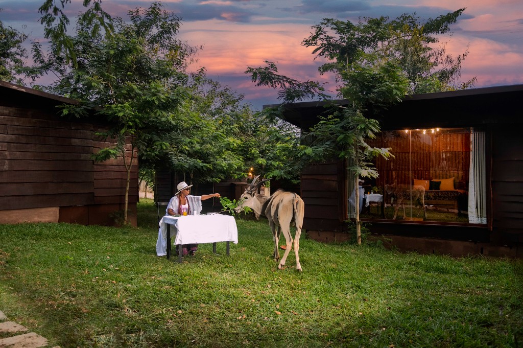 Camper Cabins