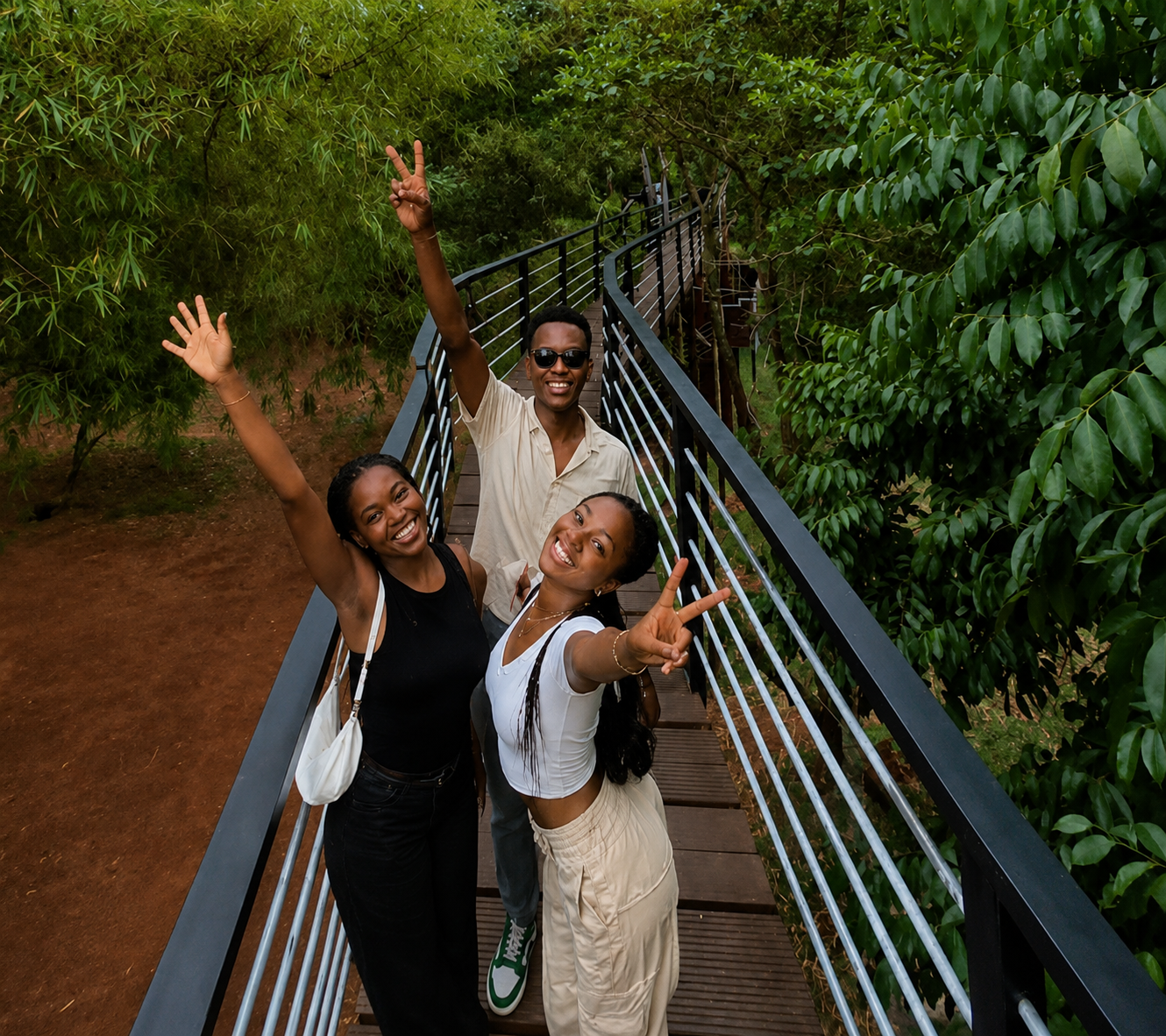 580m Tree-to-Tree Canopy Walk