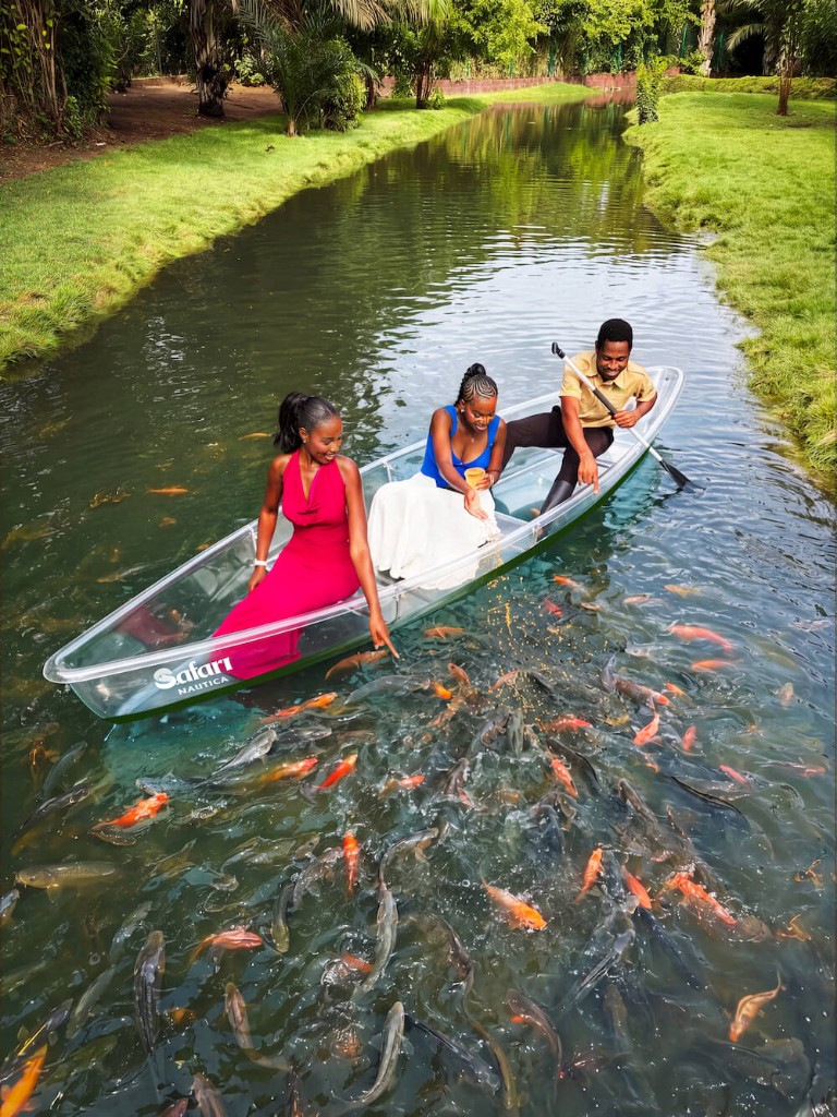 Canoeing & Fish Feeding