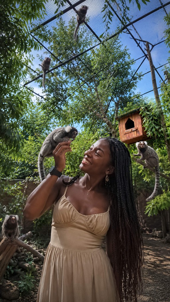 Marmosets