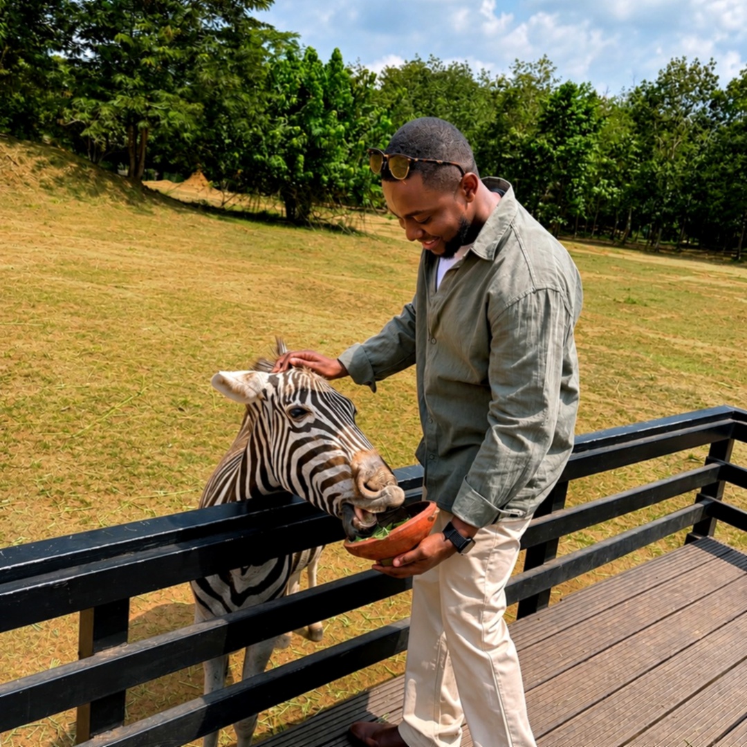 Zebras